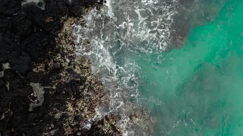 Top Drone View of Ocean Waves Crash Against By Rock Cliff with Splash White Foam