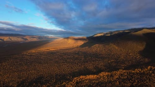 Golden Forest and Mountain Landscape Aerial at Sunset