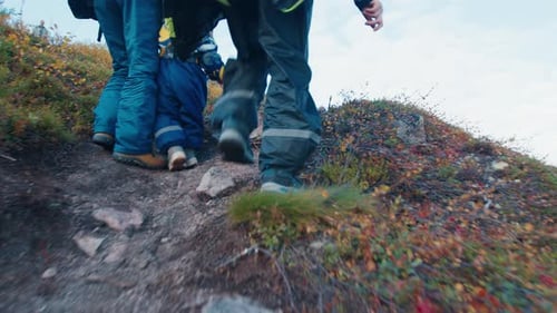 Hikers Walk on the Trail in the Arctic Tundra