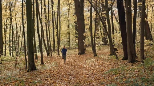 Running Through the Golden Park Embracing a Spirited and Healthy Lifestyle
