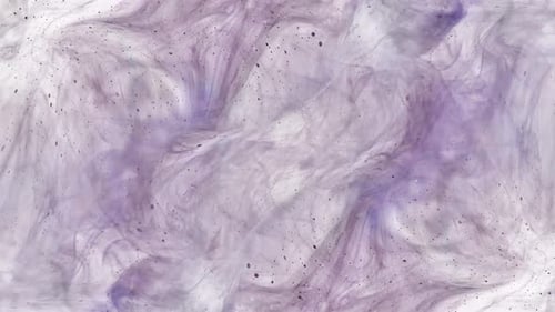 Abstract Fluid Motion Background With Swirling Purple Ink