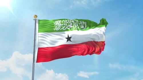 Realistic Flag Of Somaliland