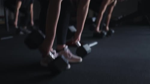 Fitness Exercise With Dumbbells In Gym Group Training For Women In Fitness Club Details