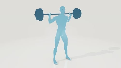 3D Animated Person Performing Barbell Squats