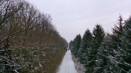 Winter road in forest. Drone is flying over the snowy road in the sky. Winter landscape.