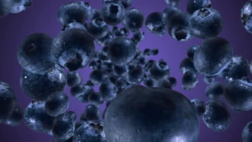Realistic Floating Blueberries Slow Motion Loop Background