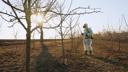 Gesamtansicht des Verarbeitungsprozesses von Gartenbäumen im Frühjahr