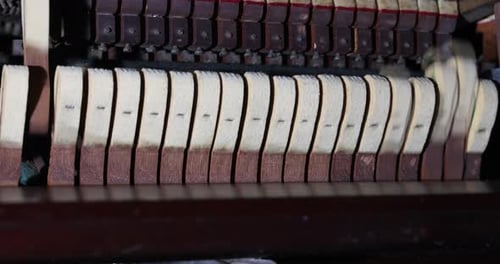 Prepare Yourself for the Piano Mechanism Repair Project with Hammer and Repairing Hammer Provided By