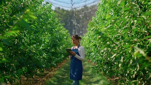 Smiling woman farmer collects data in green plantation using tablet computer