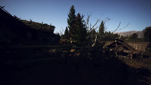 Path Illuminated By Sunlight Amidst Ancient Trees and Rustic Fences