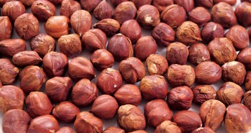 Close-Up View of Shelled Hazelnuts