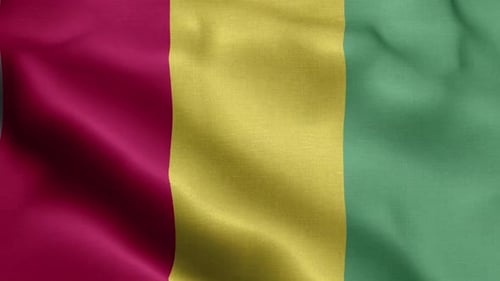Guinea National Flag Realistic Waving Animation