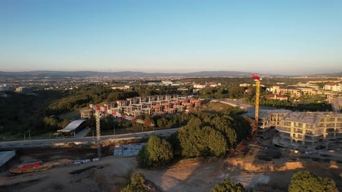 Deforestation and Urbanization