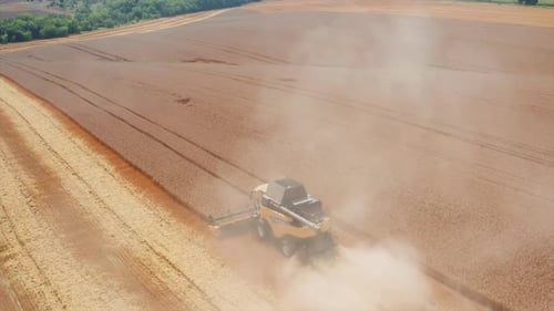 Agricultural combine farming in the field. Golden ripe wheat harvesting aerial view.