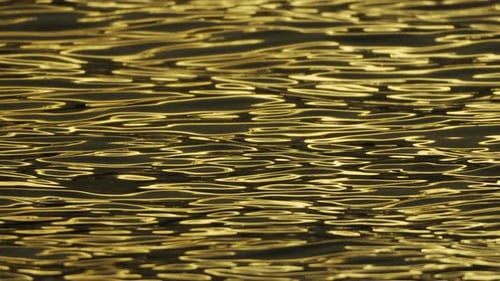 Blurred Golden Sea at Sunset with Shifting Focus and Bokeh Effect Sun Reflects and Sparkles on Waves