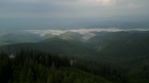 Flying Over Green Forest at Cloudy Day with the Mountains on Horizon with Glowing Clouds Carpathian