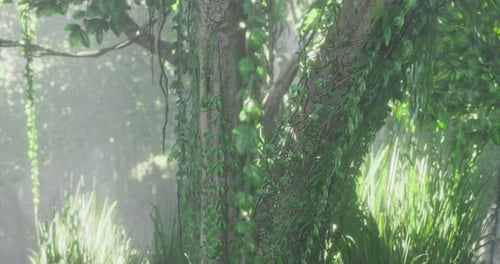 Lush Greenery Enveloping a Tree in a Serene Forest During Daytime
