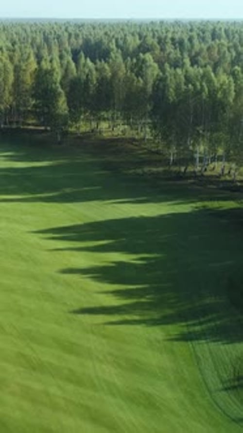 Summer Day Aerial View of Golf Course in Forest Area Golf Club View of the Field of Green Lawn Near