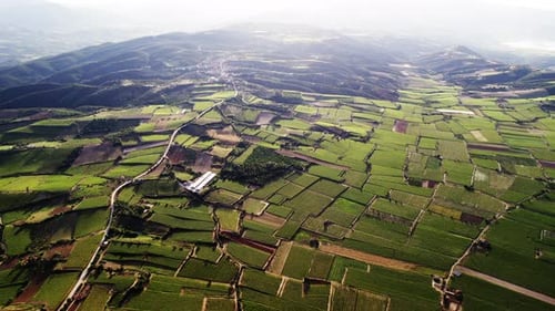 Agricultural Land Aerial View of Green Farmland