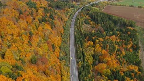 Vista aérea de automóviles que conducen por una larga carretera a través de campos otoñales y bosques de color naranja