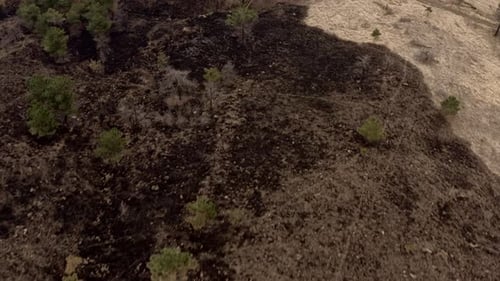 Aerial View of Burned Landscape