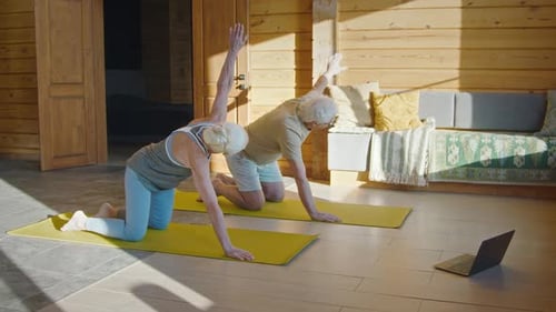 Senior Couple Exercising at Home with Online Class