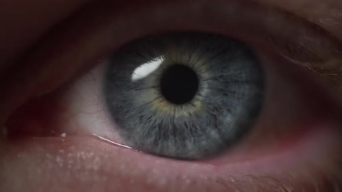 Close up of a blue eye opening and looking at the camera