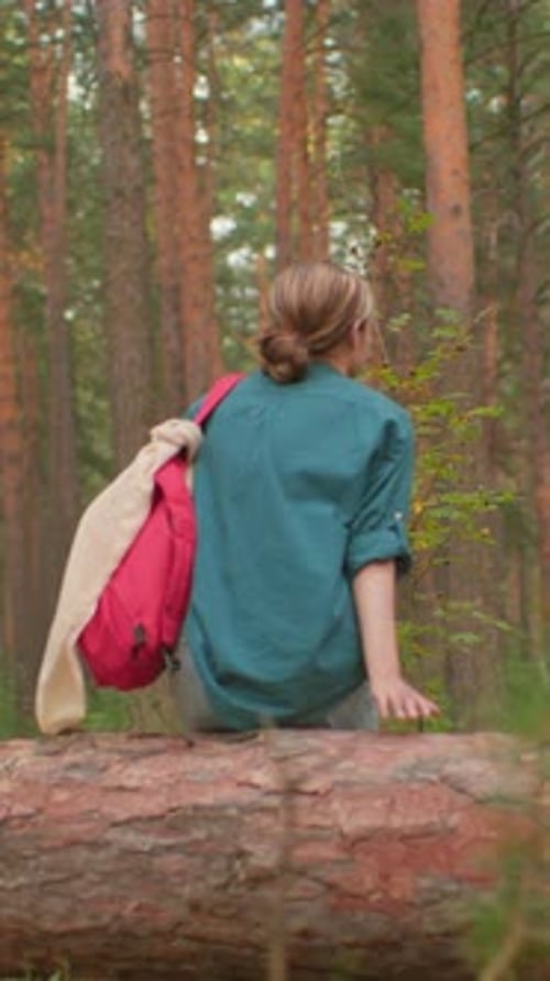 Hikers Sharing Warm Moment on Fallen Tree in Peaceful Forest