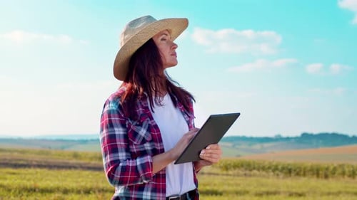 Female Agronomist Using Tablet Computer Technology Application in Field Wheat at Sunset Eco Culture