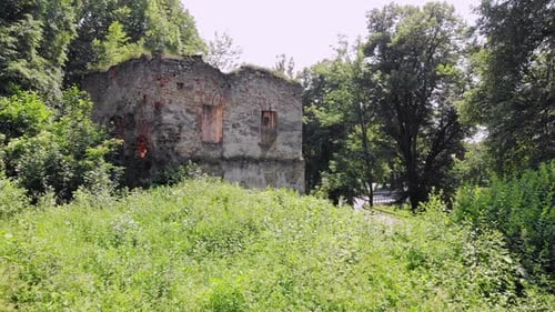 Ancient tower ruin in overgrown park aerial view, Dabrowka Starzenska, Poland