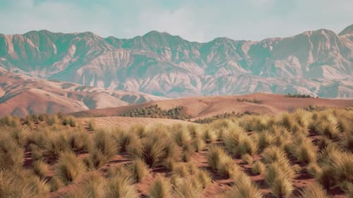 Very Remote Spinifex Grass Covered Spot in the Great Victoria Desert