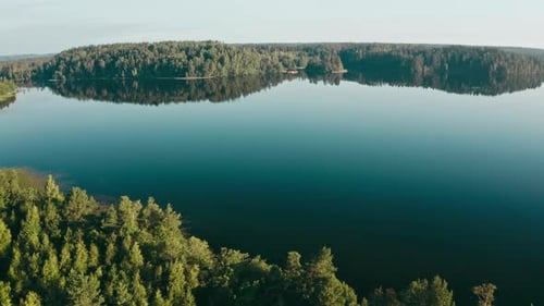 Drone Flies Over Huge Blue Lake Among Forests on a Cloudless Summer Day at Dawn