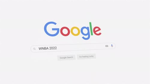 WNBA 2022 Google search