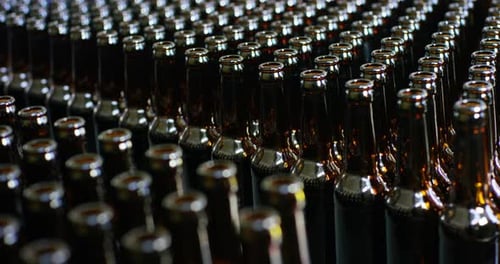 automated industrial chain of bottles for beer and alcoholic and soft drinks. the concept of indus
