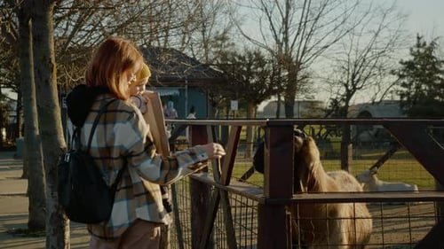Les visiteurs passent du temps à la ferme de chèvres tout en interagissant avec des animaux sympathiques
