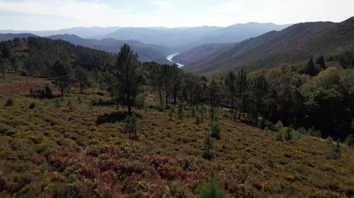 Stunning Nature from Portugal