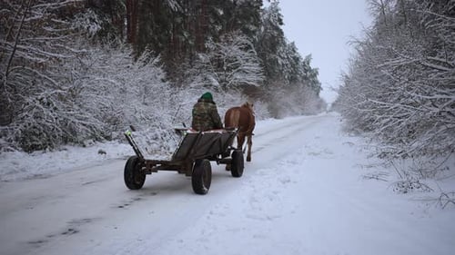 A Horse Pulls a Cart in the Village Through the Snow