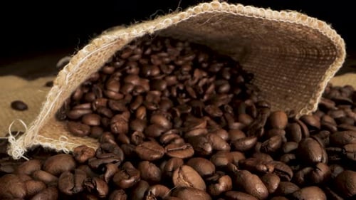 CloseUp View of Coffee Beans Pouring From Burlap Sack