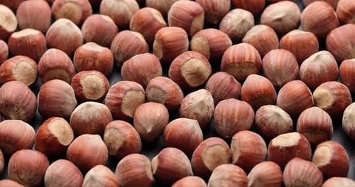 Noisettes naturelles biologiques entières en gros plan sur une plate-forme rotative
