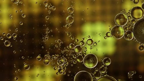 Abstract Colorful And Shiny Oil Bubbles Circles Background 17