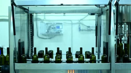 Wine Bottle Conveyor System Operating in a Production Facility During Busy Hours