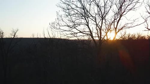 Epic Aerial Flight Leafless Forest Sunset Beautiful Fall Season