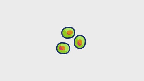 Cells Animated Icon