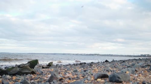A seagull standing on beach rocks watching the beach waves on a cold windy evening