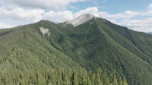 Flying Towards Beaverhead Peak, Green Forest In The Mountains In Golden, British Columbia, Canada. -