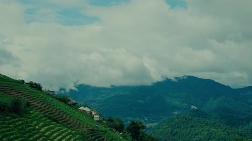 Timelapse of Cumulus Clouds Moving in the Blue Sky Above the Greeen Agriculture Hills