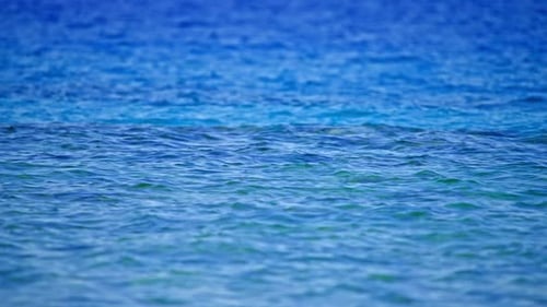 Waves on the Surface of the Sea