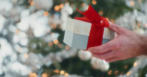 Christmas Gift Exchange Between Two People Close Up