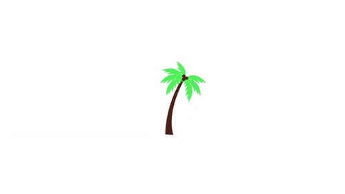 Palm Tree Icon animation