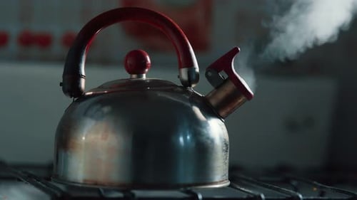 Silver Kettle Steaming on the Stove
